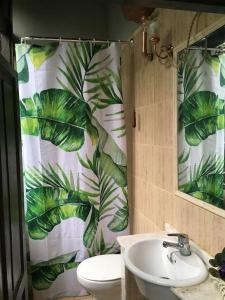 BárzanaLa Naranxa的浴室设有水槽和叶子淋浴帘
