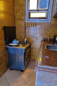 亚历山大فيلا 110 قريه سلاح المهندسين的小厨房配有炉灶和水槽