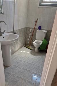 亚历山大فيلا 110 قريه سلاح المهندسين的一间带水槽的浴室和一个带拖把的卫生间