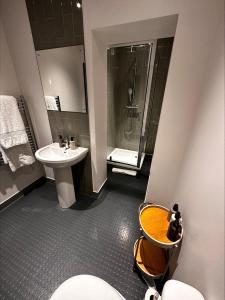 伦敦The Crown Rooms的一间带水槽、卫生间和淋浴的浴室