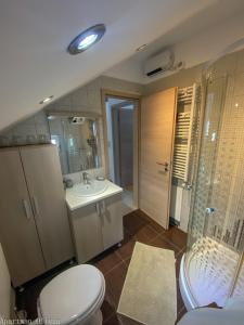 LudbregApartman Olivia的浴室配有卫生间、盥洗盆和淋浴。