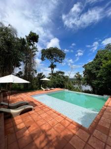 伊瓜苏港GLAMPING SELVA IGUAZU的一个带椅子和遮阳伞的游泳池