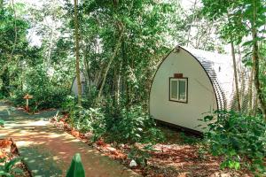 伊瓜苏港GLAMPING SELVA IGUAZU的森林中间的小帐篷