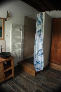 阿维尼翁佩妮舍丝布瓦船屋的带淋浴帘的浴室和木地板