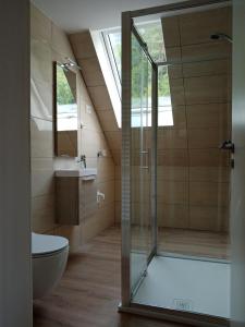 博维茨Apartment Vida的带淋浴、卫生间和盥洗盆的浴室