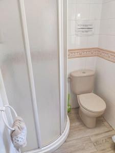 格拉纳达Lolas Cozy Studio的一间带卫生间和淋浴的小浴室