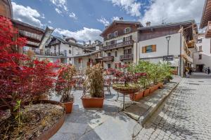 库马约尔La Leitery du Mont Blanc 2的一条有盆栽植物和建筑的城市街道