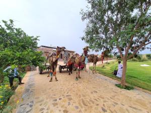 TehlaSariska Kasba A Village Resort的泥路上拖着马车