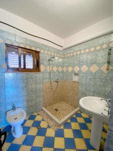 伏罗拉Arlind's Apartaments的一间带水槽、淋浴和卫生间的浴室