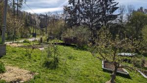 克洛斯特新堡20 min nach Wien, Ruhig und Grün的草地上带长凳的花园