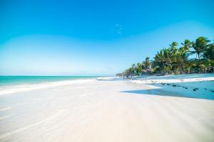 布韦朱Mayai Ocean Resort的棕榈树和海洋的沙滩