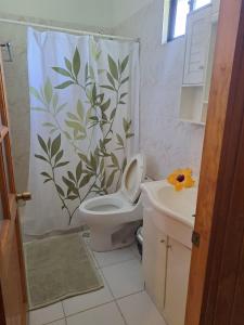 安加罗阿Hostal Avareipua的浴室设有淋浴帘、卫生间和水槽