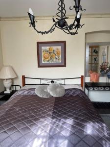 布达佩斯Buda Hills villa apartment的一间卧室配有一张带两个枕头的床