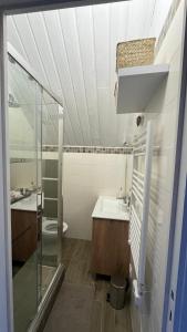 乌弗奈特弗斯Appartement Chalet Pra Loup的一间带水槽和卫生间的浴室