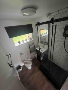 卡德纳姆Hot Tub hideaway! New Forest的一间带卫生间、水槽和窗户的浴室