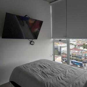 圣何塞Ifreses Apartamento 11的卧室配有壁挂式平面电视。