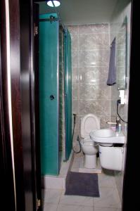拉各斯NO 95 SUITES VI的带淋浴、卫生间和盥洗盆的浴室