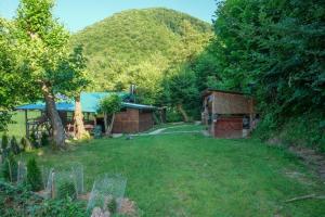 亚伊采ECO cabin Plivsko jezero Jajce的一座有房子的院子和一座山的背景