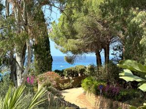 托雷德尔斯泰尔Villa La Petite Etoile的一条穿过花园的小路,花园的背景是大海