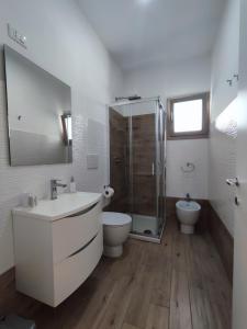 切萨雷奥港B&B DreAm Porto Cesareo的带淋浴、盥洗盆和卫生间的浴室