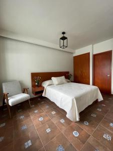 瓦哈卡市Casa Sol的一间卧室配有一张大床和一把椅子