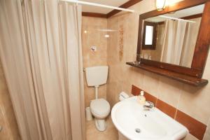 圣帕拉斯凯维Karnagio Vasilas的一间带水槽、卫生间和镜子的浴室