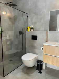 Kibbutz Snirסוויטת מול הבניאס的带淋浴、卫生间和盥洗盆的浴室