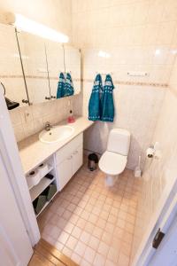 罗瓦涅米Nord Riverside的一间带卫生间、水槽和镜子的浴室