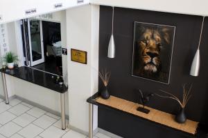 布隆方丹Lion Lodge的墙上有一幅狮子的照片