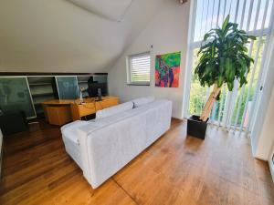 林茨Mountains and Lakes - Villa Gaumberg的客厅配有白色沙发和盆栽植物