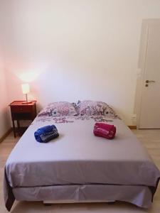 芳塔尼尔科尔尼永Chambre à louer 15mnn de Grenoble-salle de bain privée-WIFI gratuit的床上的2个枕头