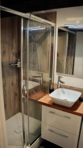 索恩河畔沙隆Le Sommelier Chalon的带淋浴和白色盥洗盆的浴室