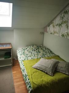 科尔波Guesthouse Siskonpeti的一间卧室配有一张带绿毯的床