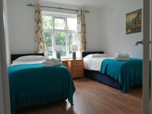 罗姆福特Lovely 3 Bedrooms Flat Near Romford Station With Free Parking的一间卧室设有两张床和窗户。