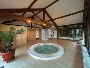 泽尔内什蒂Pensiunea Tohanu Vechi的一间位于中间的大型客房,配有热水浴缸。