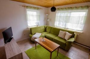 洛默Ferienhaus Luette_的客厅配有绿色沙发和桌子