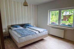洛默Ferienhaus Luette_的一间卧室配有一张带蓝色枕头的床和一扇窗户。