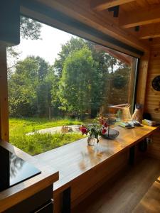 科马尔尼克MoodySun Studio, remote tiny home的配有木桌的客房内的大窗户