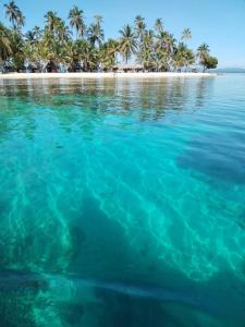 Arritupo Número DosGunayar amazing的海中的一个棕榈树环绕的岛屿
