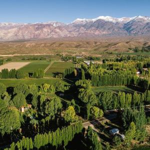 乌斯帕亚塔Cabaña en Alta Montaña - Complejo Cabañas del Pastizal - USPALLATA, MENDOZA的享有树木和山脉的田野的空中景致