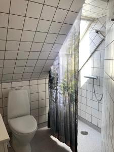 兰讷斯Huset ved springvandet的一间带卫生间和淋浴帘的浴室