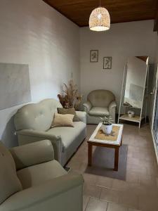 费德拉西翁Residencia del Norte的带沙发和咖啡桌的客厅