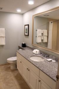 帕姆港Innisbrook Resort的一间带水槽、卫生间和镜子的浴室