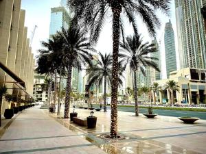 迪拜BLVD SkyView的城市中一排棕榈树,有建筑
