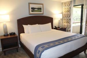 帕姆港Innisbrook Resort的一间卧室配有一张大床、两个床头柜和两盏灯。