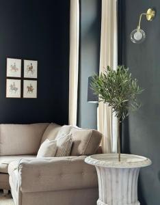 罗什福尔Maison Comtale的客厅配有沙发和植物桌子