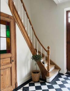 罗什福尔Maison Comtale的 ⁇ 板上带有盆栽植物的楼梯