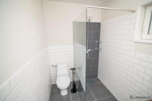 Ozunca-BăiUzonka Guesthouse的一间带卫生间和淋浴的浴室