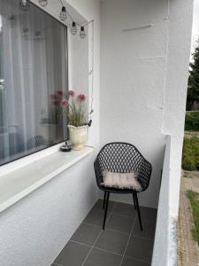 瓦尔米亚地区利兹巴克Apartament Centrum II的坐在窗台上,摆着一棵植物的椅子