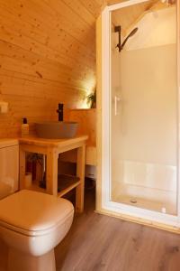 奥斯特韦克Kampinastaete, hippe cottages midden in natuurgebied de Kampina Oisterwijk的一间带卫生间和水槽的浴室